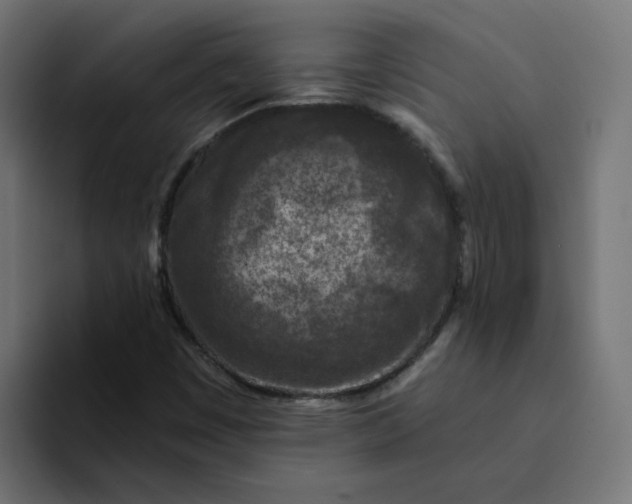 X0000094171449200711161658