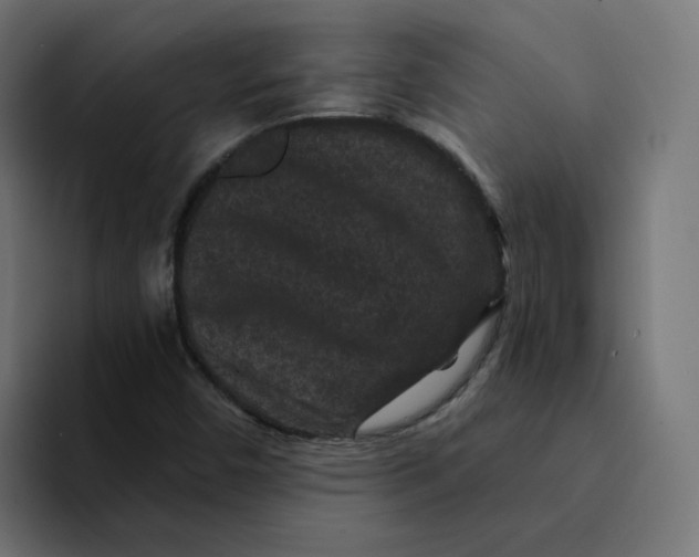 X0000094171450200711161658