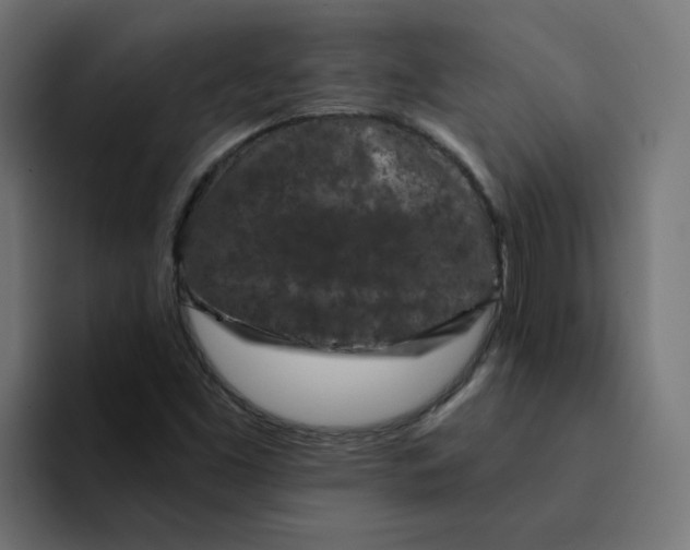 X0000094171453200711161658