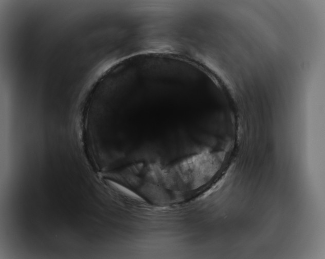 X0000094171455200711161658