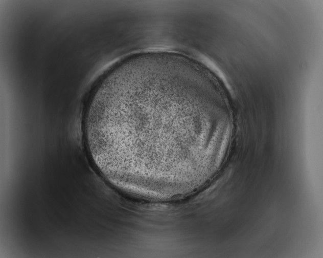 X0000094171456200711161658