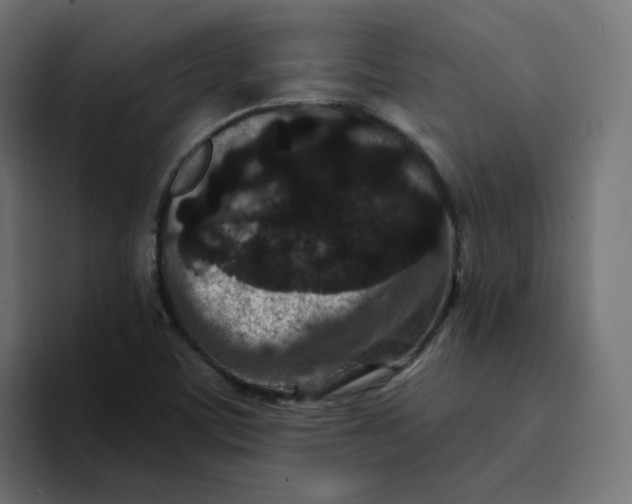 X0000094171459200711161658