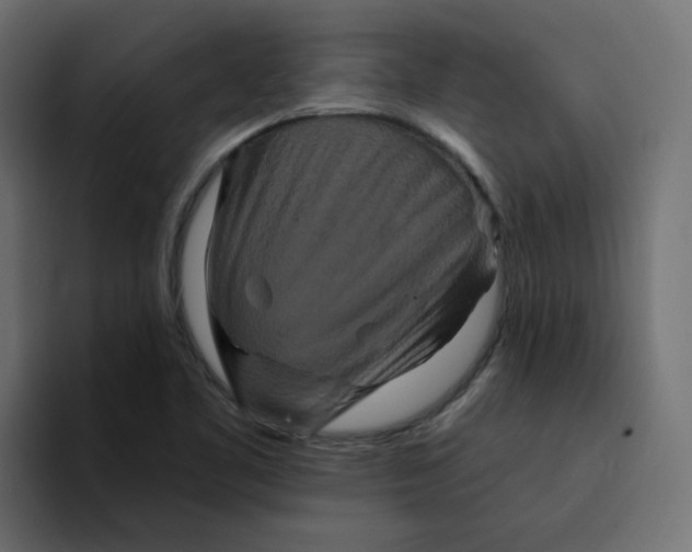 X0000094171461200711161658