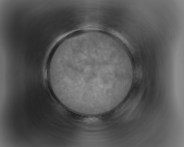 X0000094171462200711161658