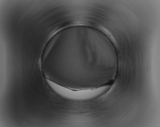 X0000094171465200711161658