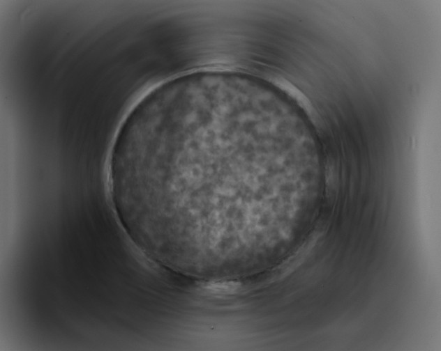 X0000094171466200711161658