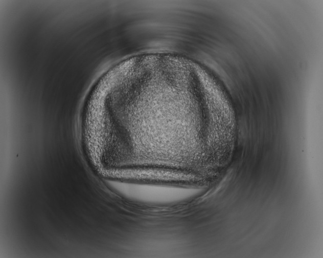 X0000094171467200711161658