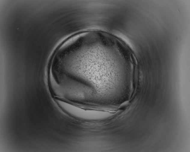 X0000094171468200711161658