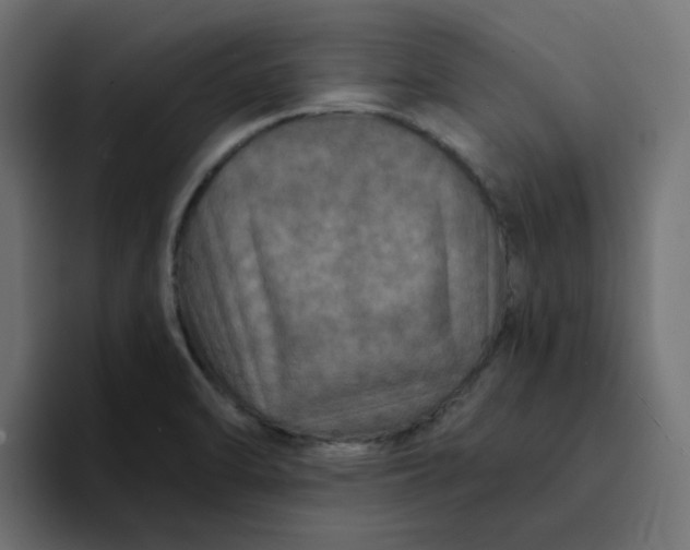 X0000094171470200711161658