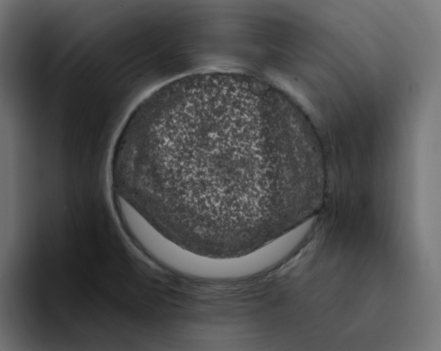 X0000094171471200711161658