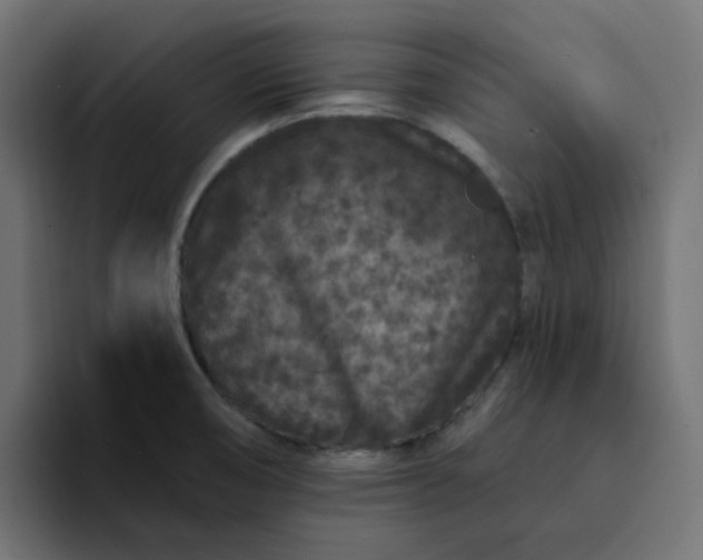 X0000094171474200711161658