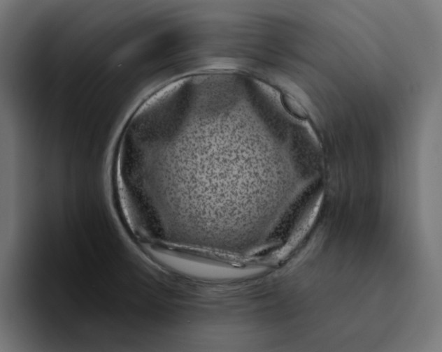X0000094171475200711161658