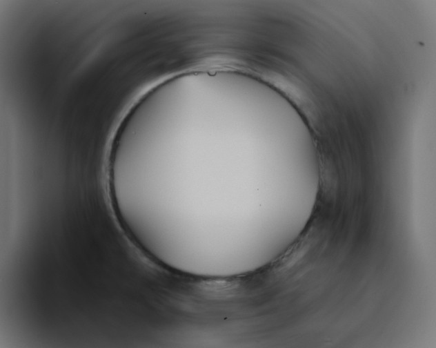X0000094171478200711161658