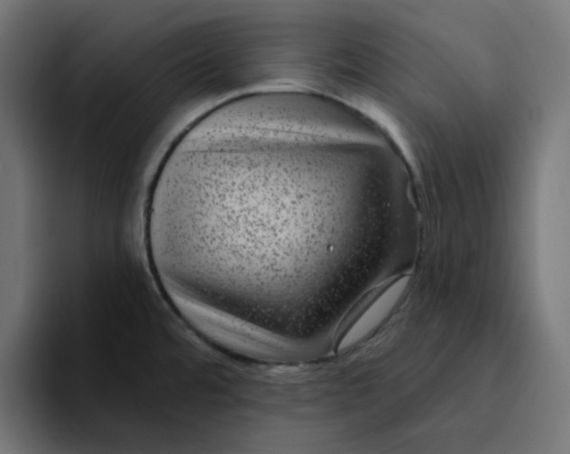 X0000094171480200711161658