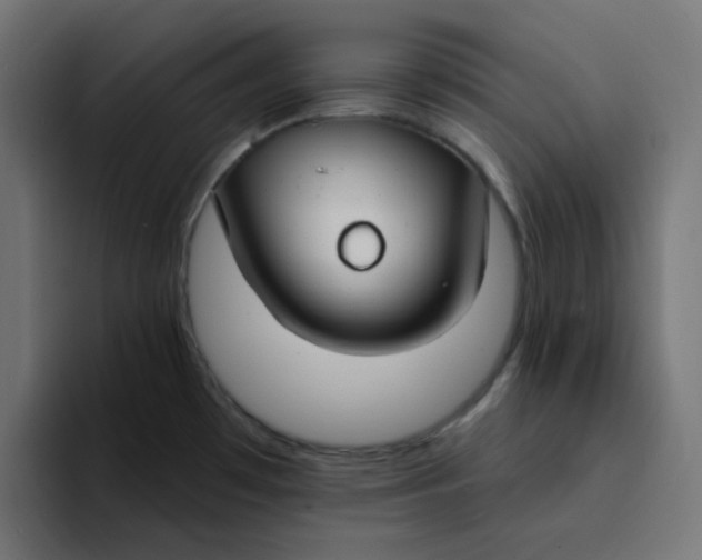 X0000094171481200711161658