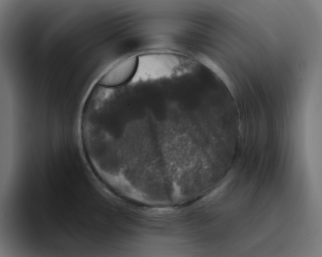 X0000094171482200711161658