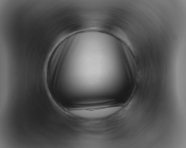 X0000094171483200711161658