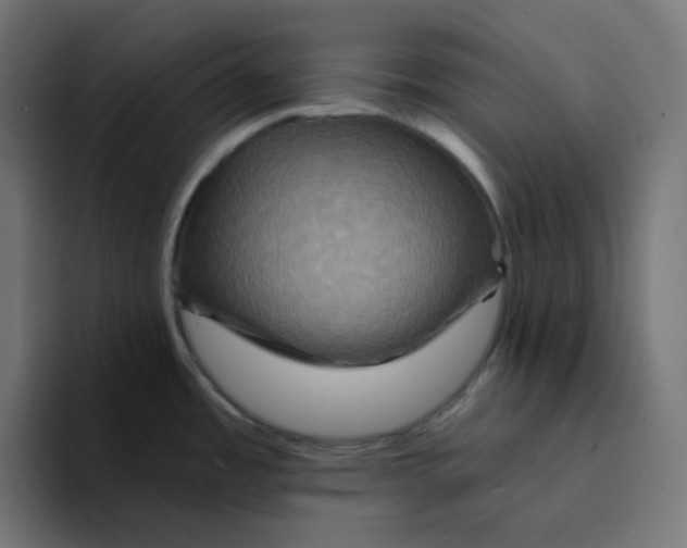 X0000094171485200711161658