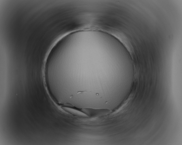 X0000094171486200711161658