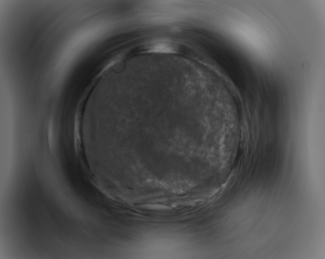 X0000094171487200711161658