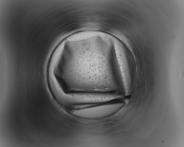 X0000094171488200711161658