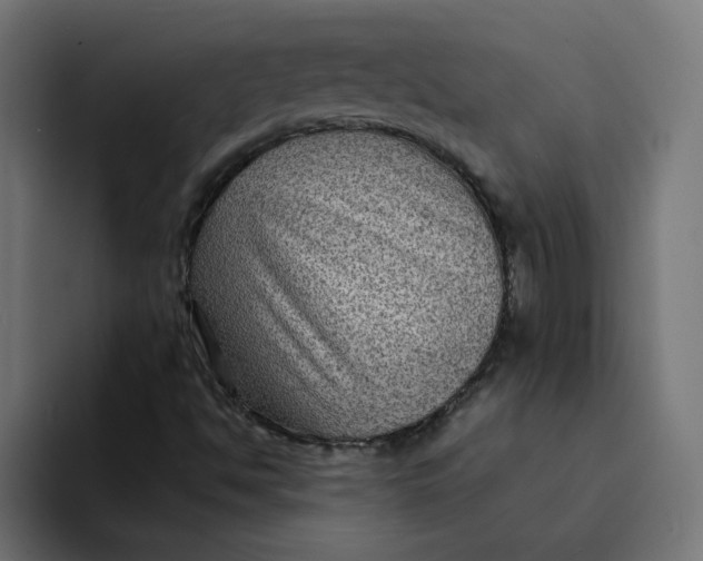 X0000094171494200711161657