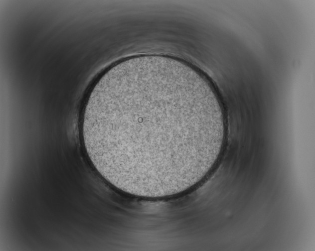 X0000094171498200711161657