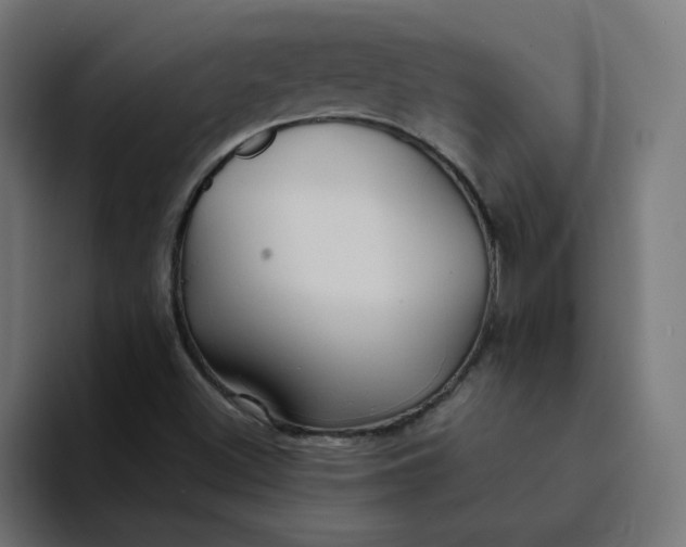 X0000094171500200711161657