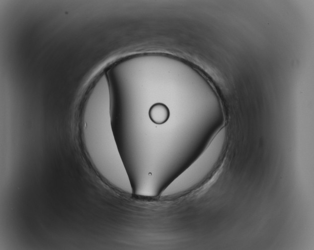 X0000094171502200711161657