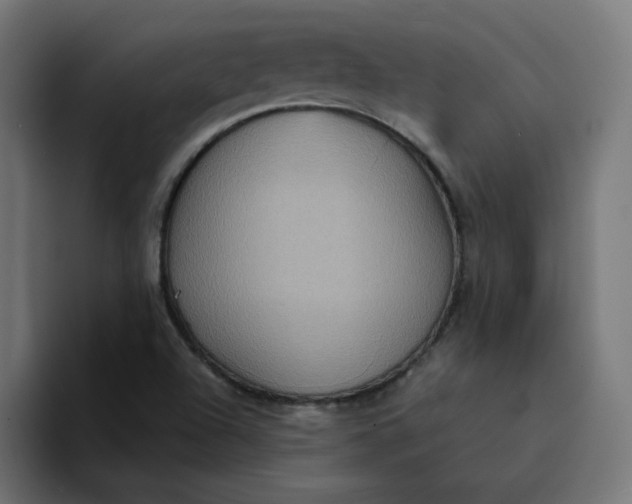X0000094171504200711161657