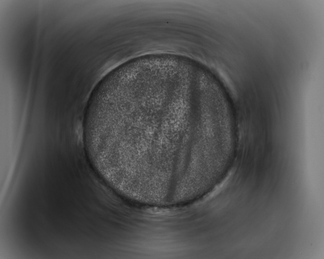 X0000094171505200711161657