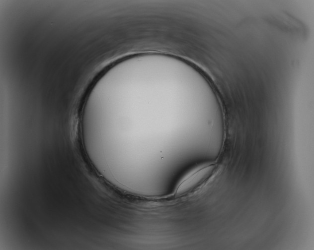 X0000094171507200711161657