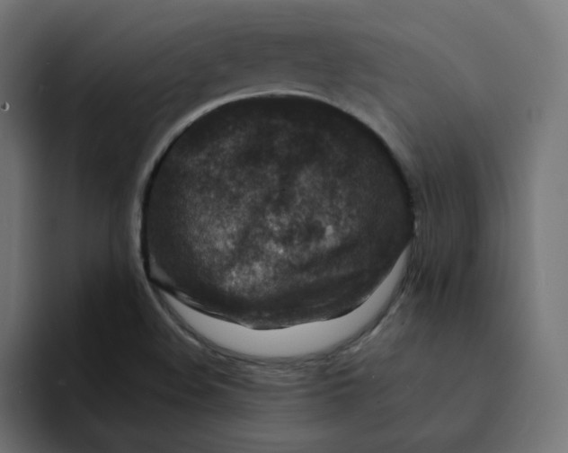 X0000094171508200711161657