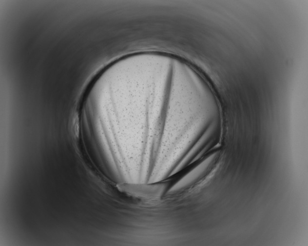 X0000094171509200711161657