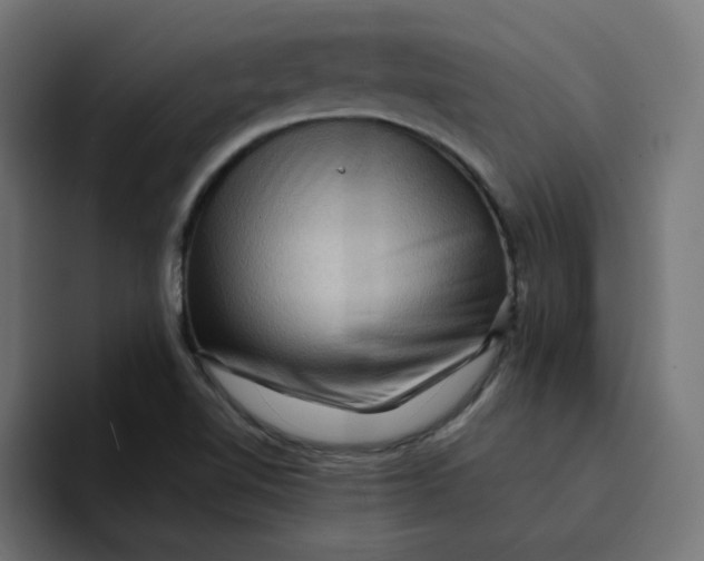 X0000094171510200711161657