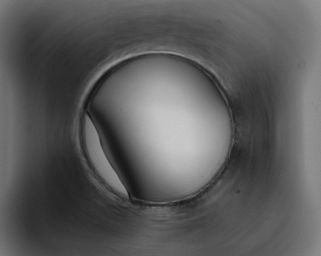 X0000094171511200711161657