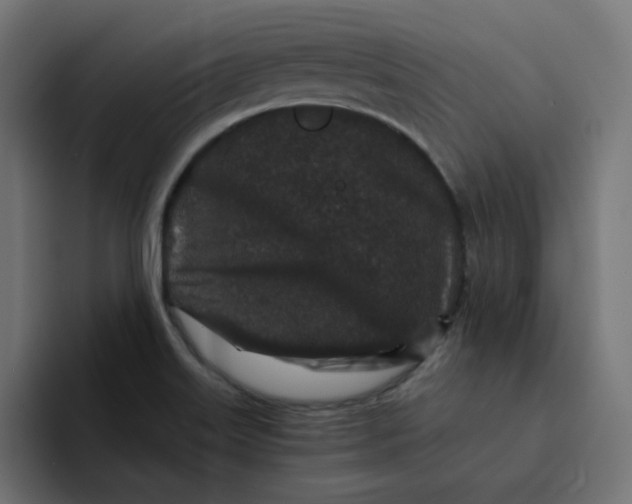 X0000094171515200711161657