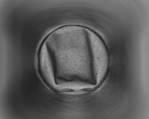 X0000094171517200711161657