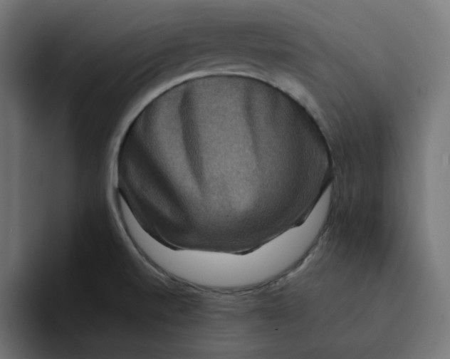 X0000094171520200711161657