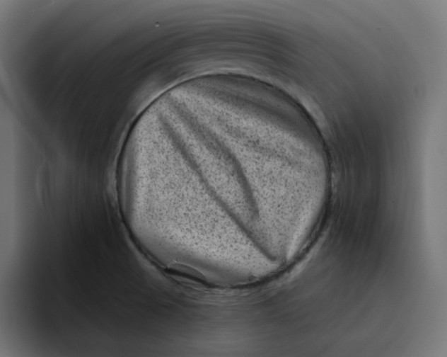 X0000094171521200711161657