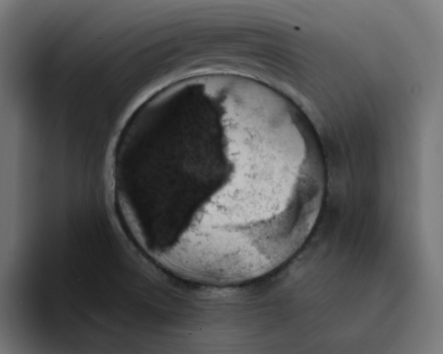 X0000094171522200711161657