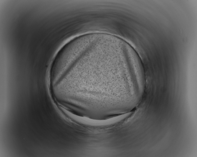 X0000094171523200711161657