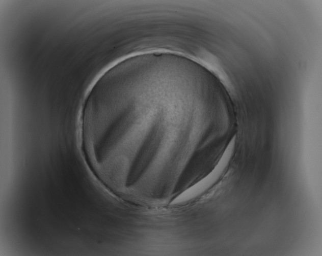 X0000094171524200711161657