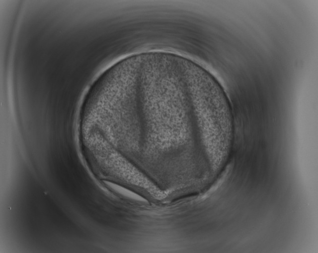 X0000094171525200711161657