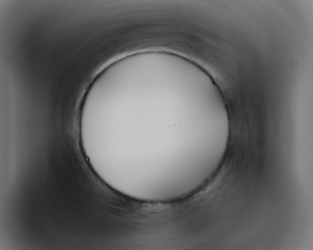 X0000094171526200711161657