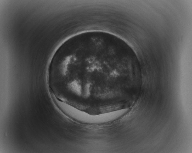 X0000094171527200711161657