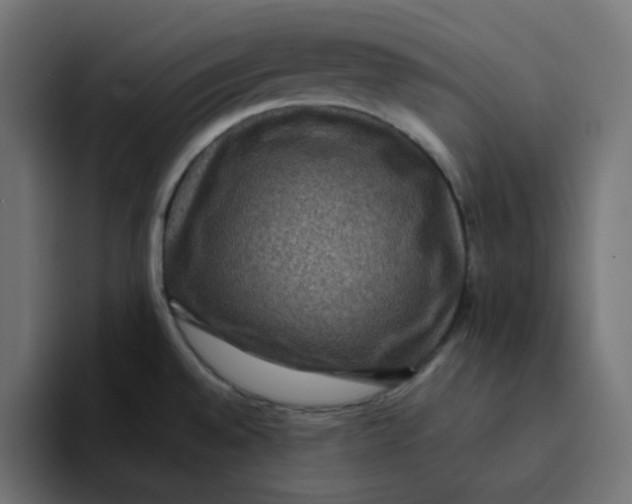 X0000094171528200711161657