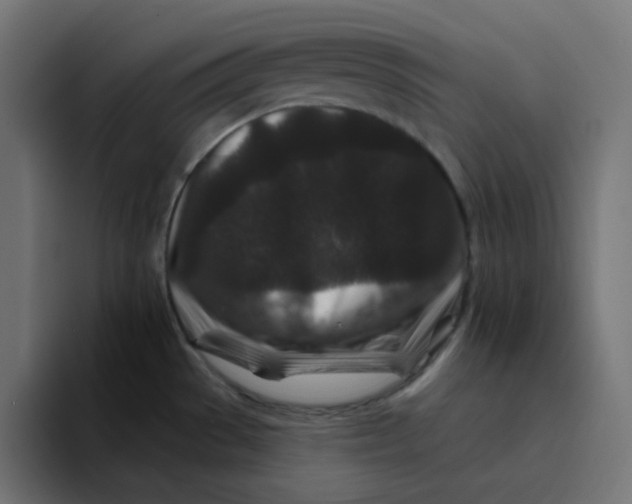 X0000094171529200711161657