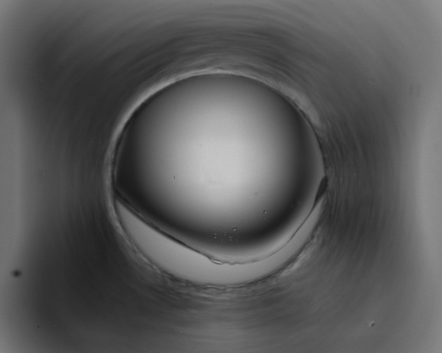 X0000094171530200711161658