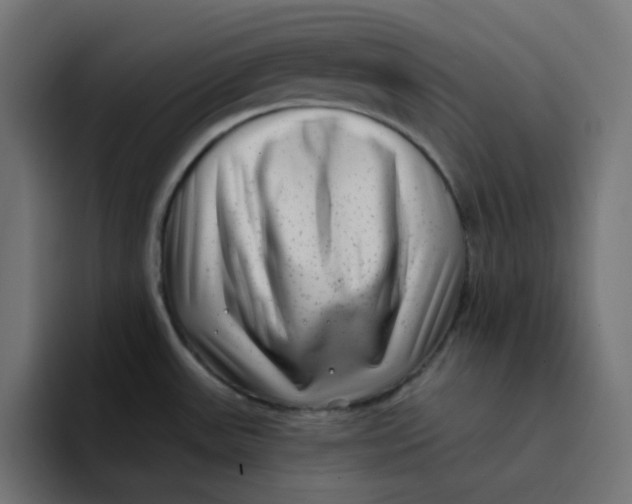 X0000094171531200711161658